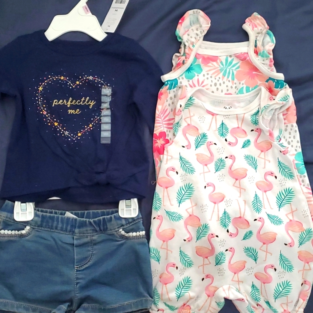 NWT baby girl 9 month clothing lot